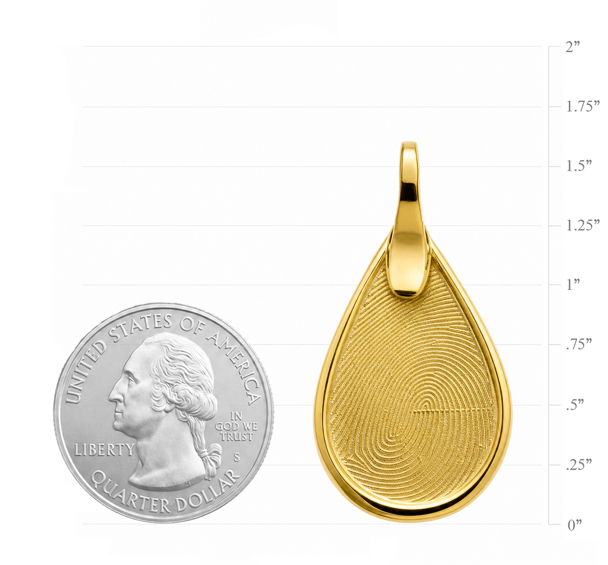 Seal Teardrop Necklace – Gold-Plated